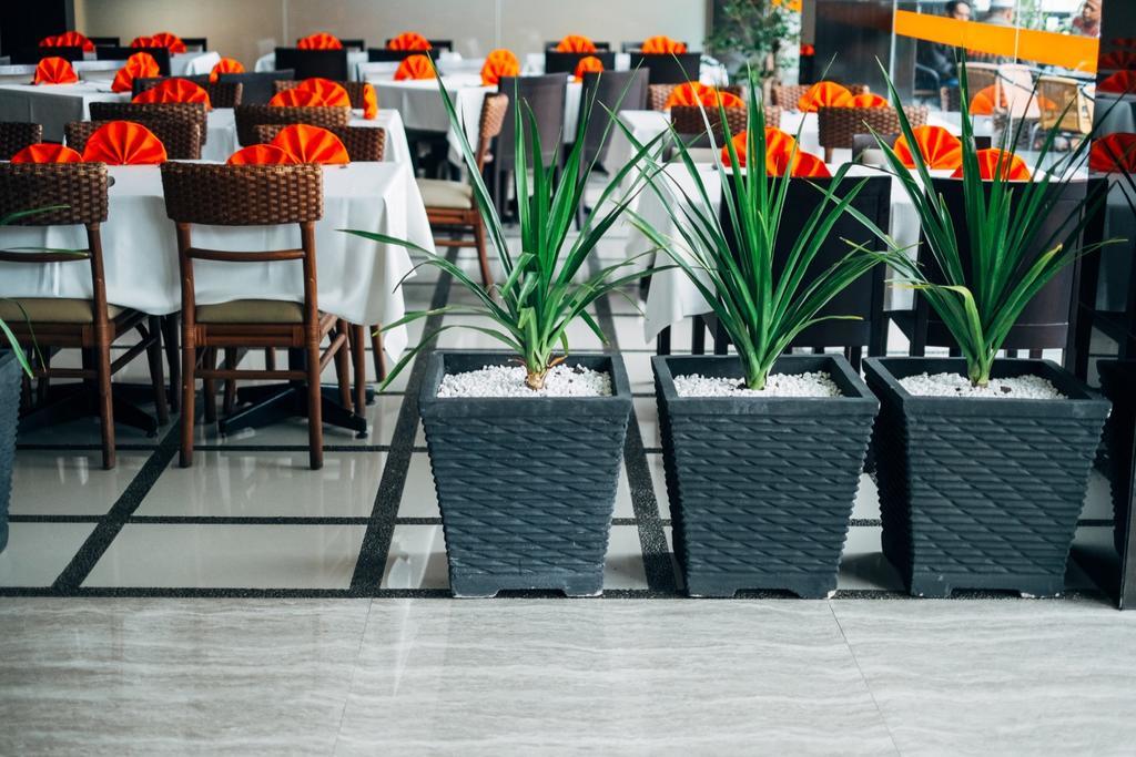 Alpha Hotel Pekanbaru Exterior foto